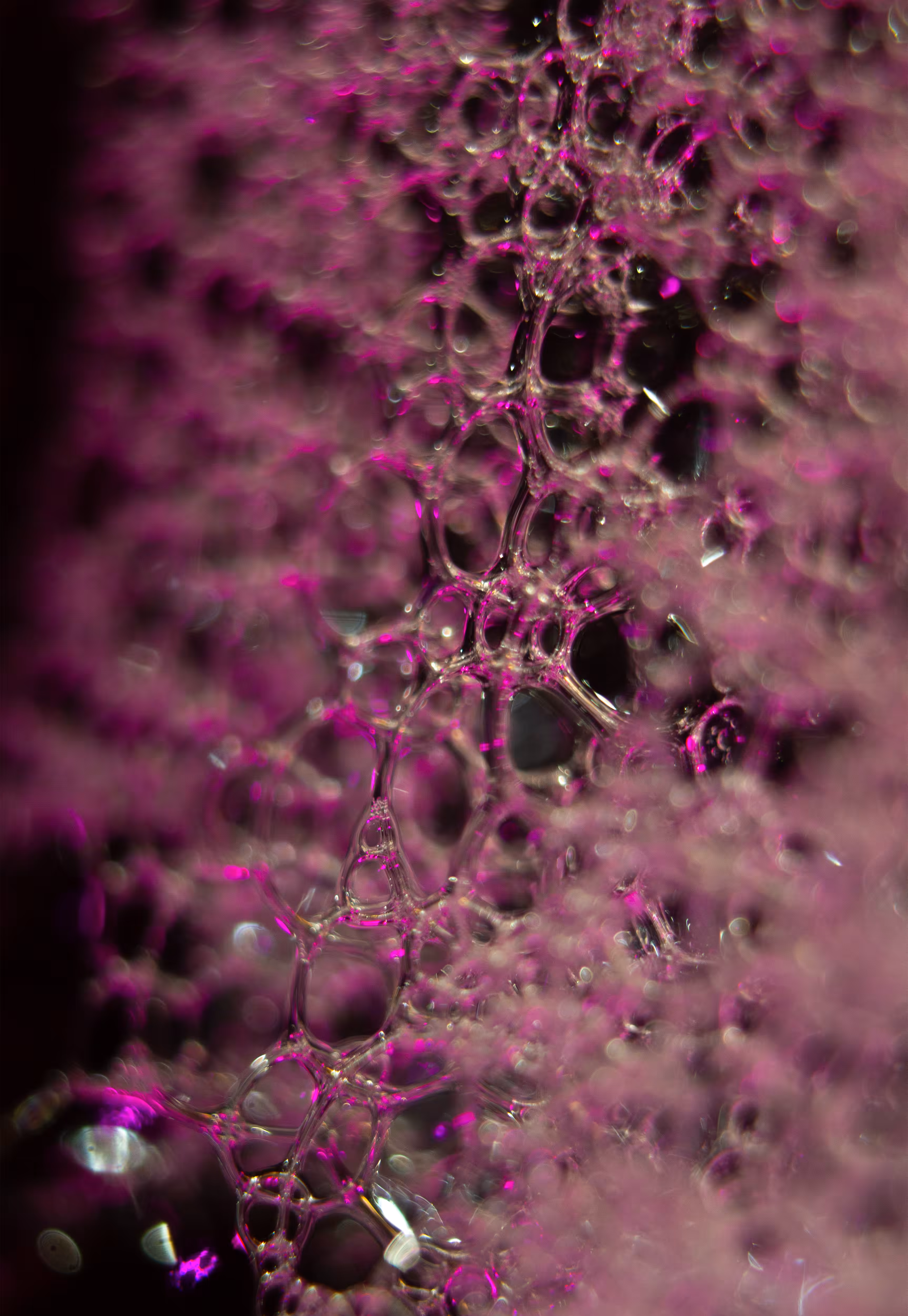 #148 Bubbles