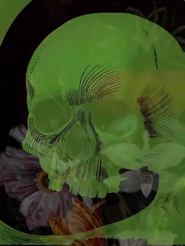Timelaps of Decay