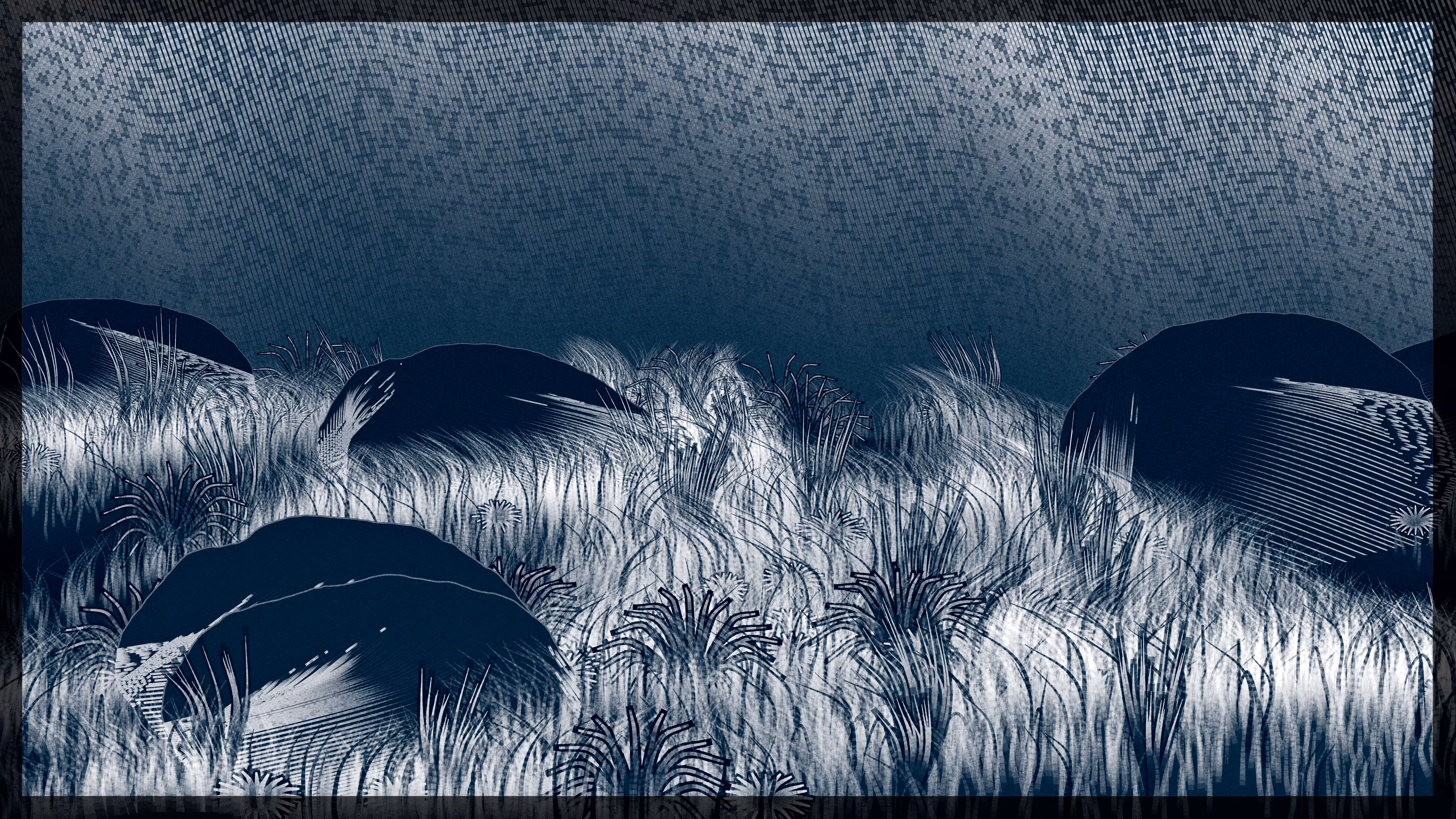 veils01