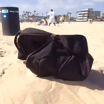 Rare Hermit Crab on the Beach