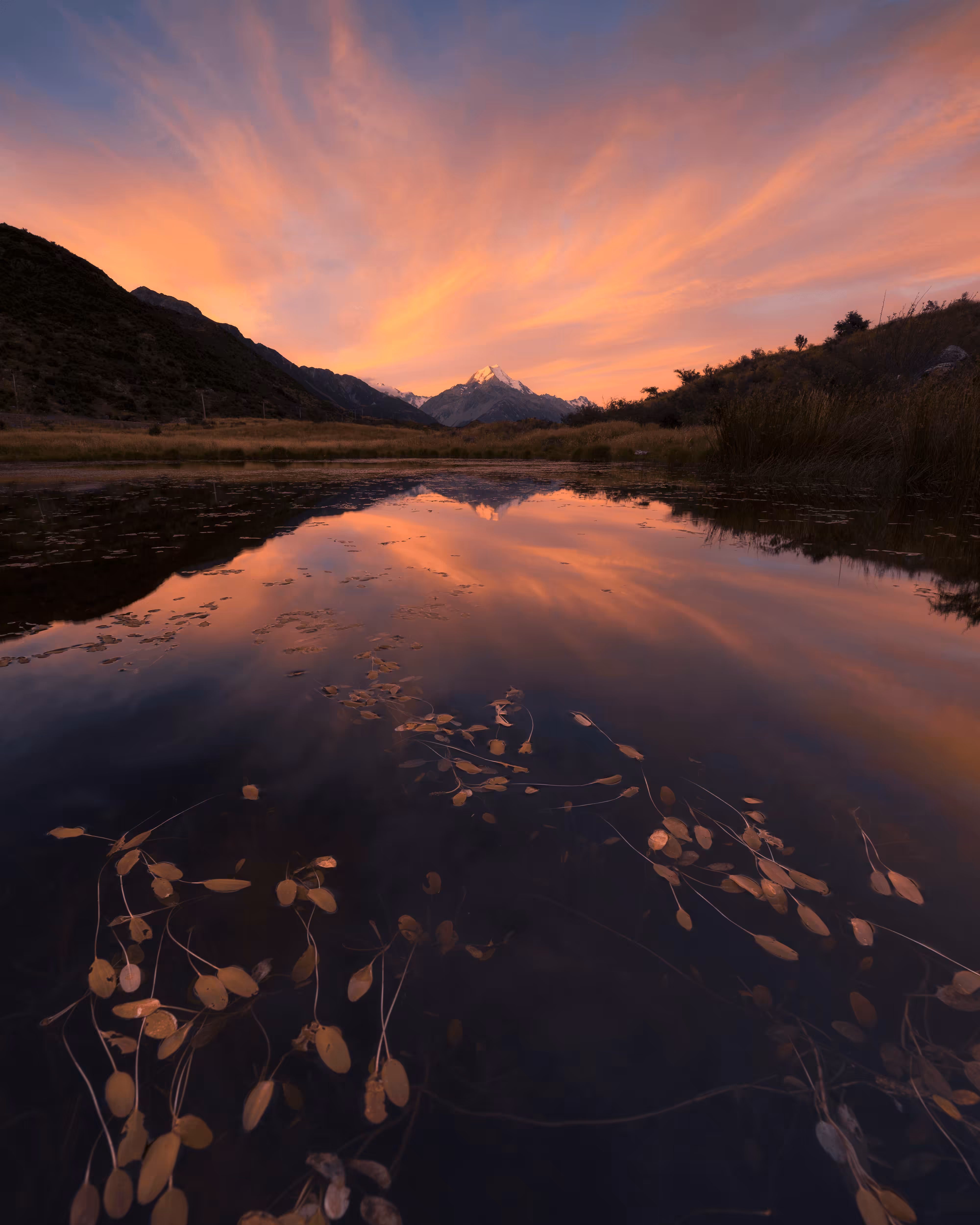 PALETTES OF AOTEAROA - THE PLACE OF GREENSTONE #03