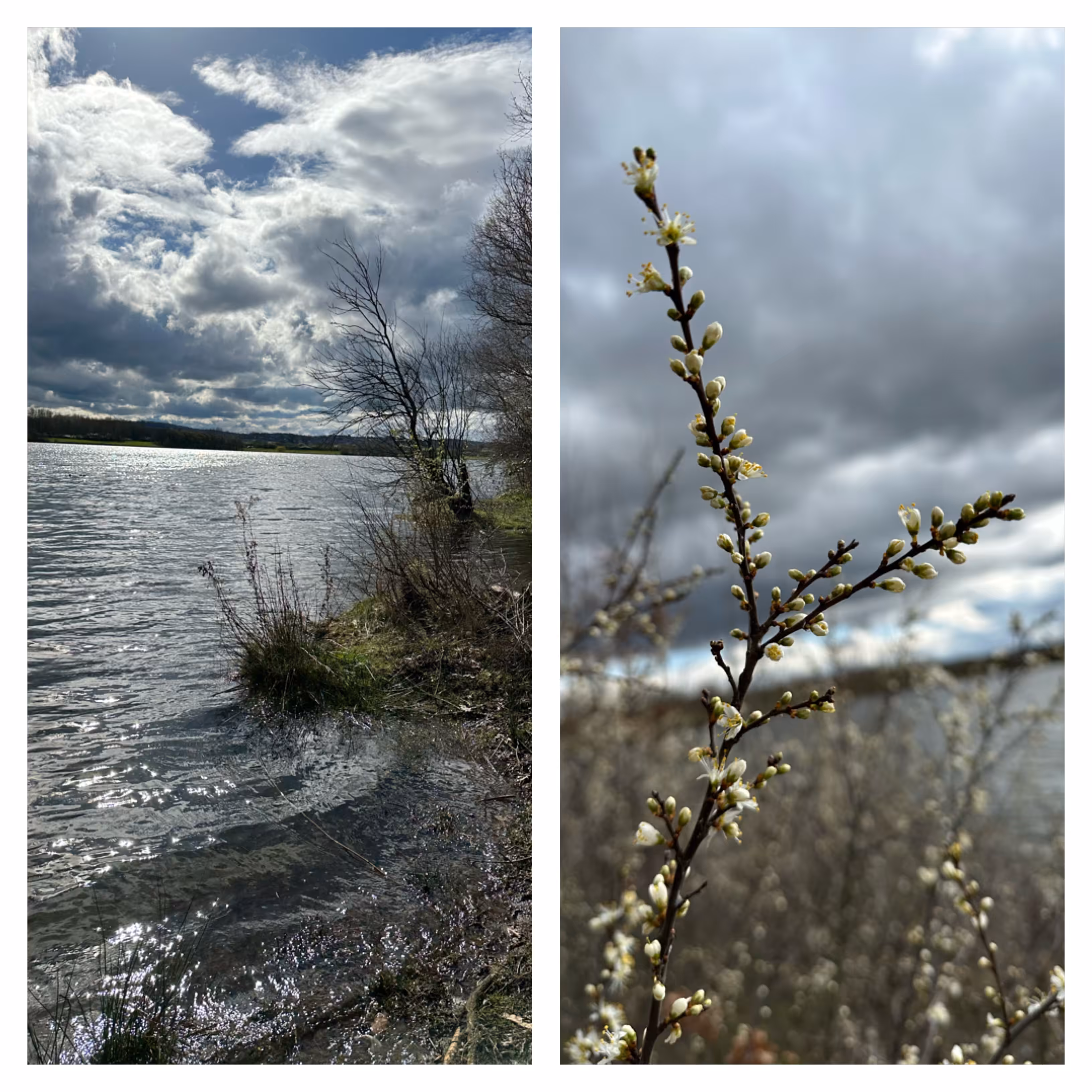 Duality ~ Calm at the Banks