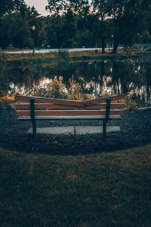 Meet Me At The Park