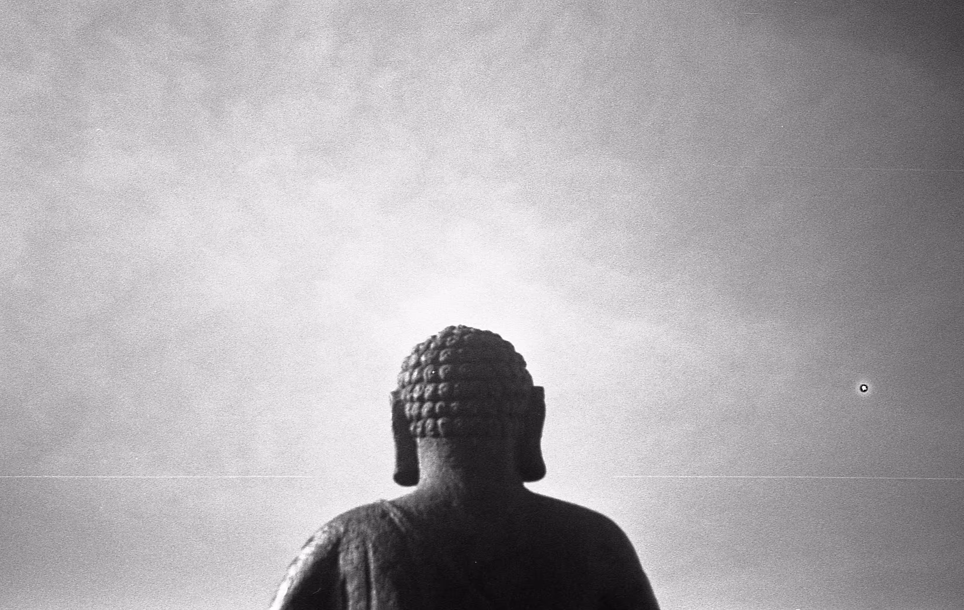 The black Buddha