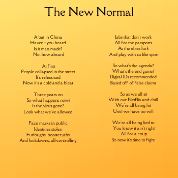 Provocative Poetry: The New Normal