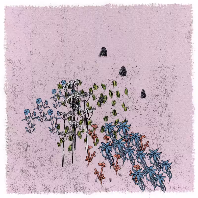 Gardens  #181