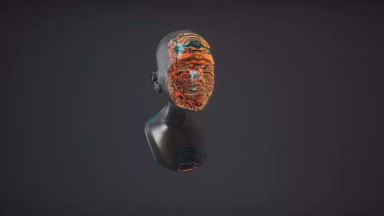 ANONYMOUS / UNKNOWN FACE / CHAMELEON