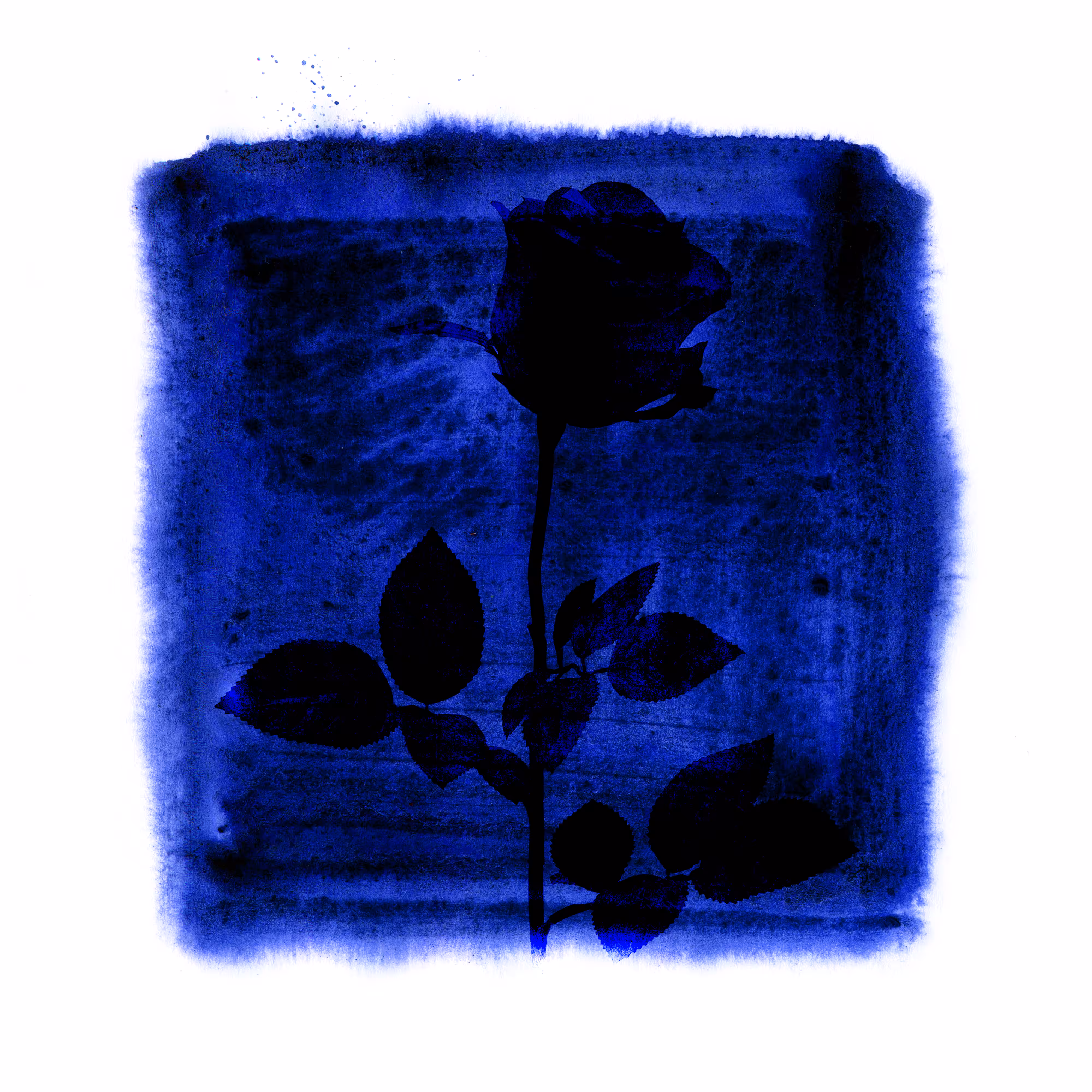 Blues garden #02