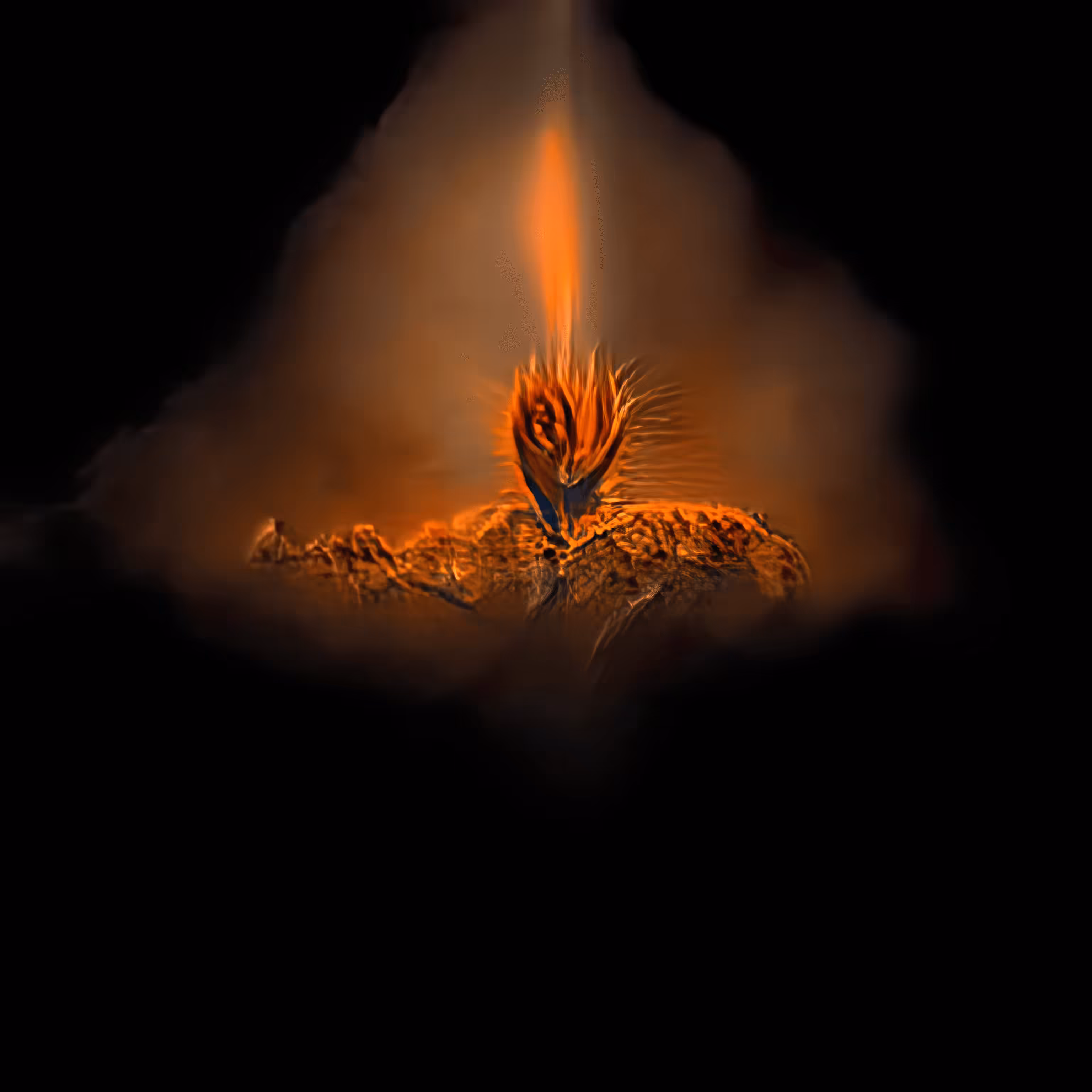 Phoenix 5
