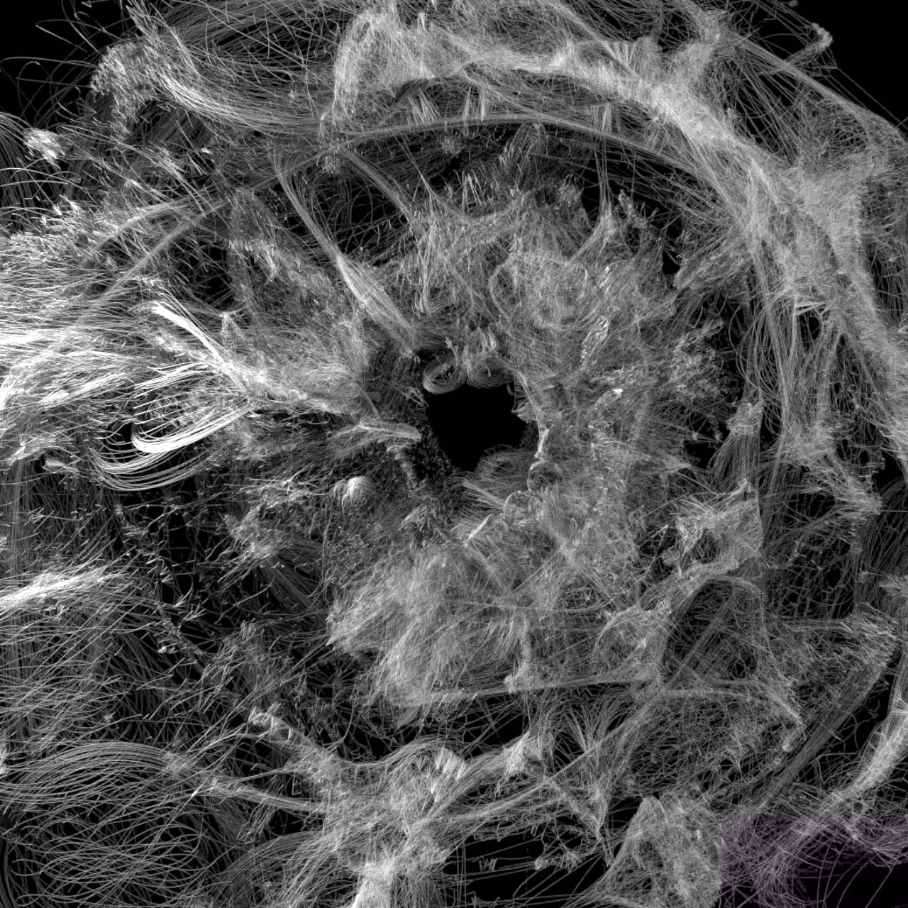 spiders on drugs 2
