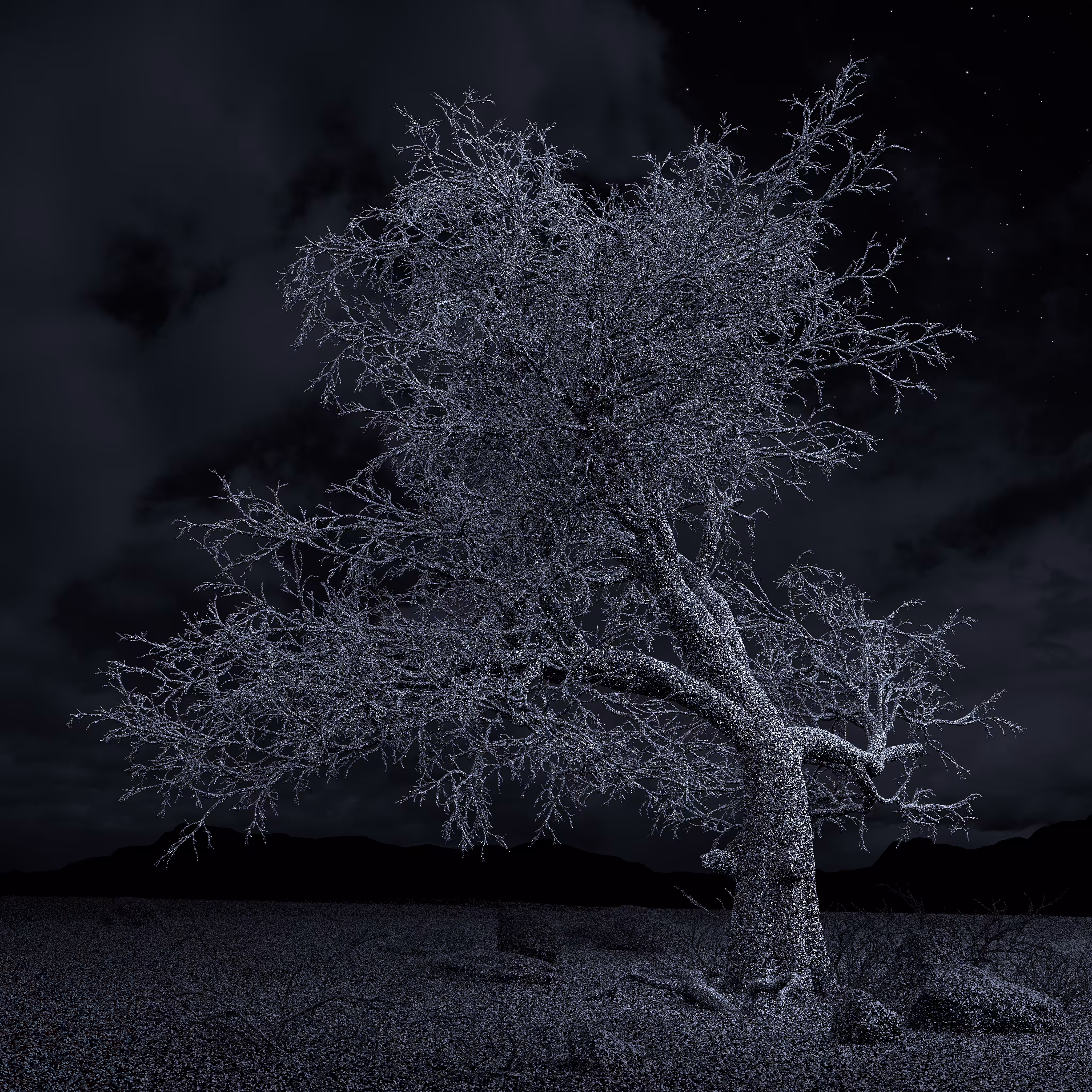 Pillars of Dawn (single, V)