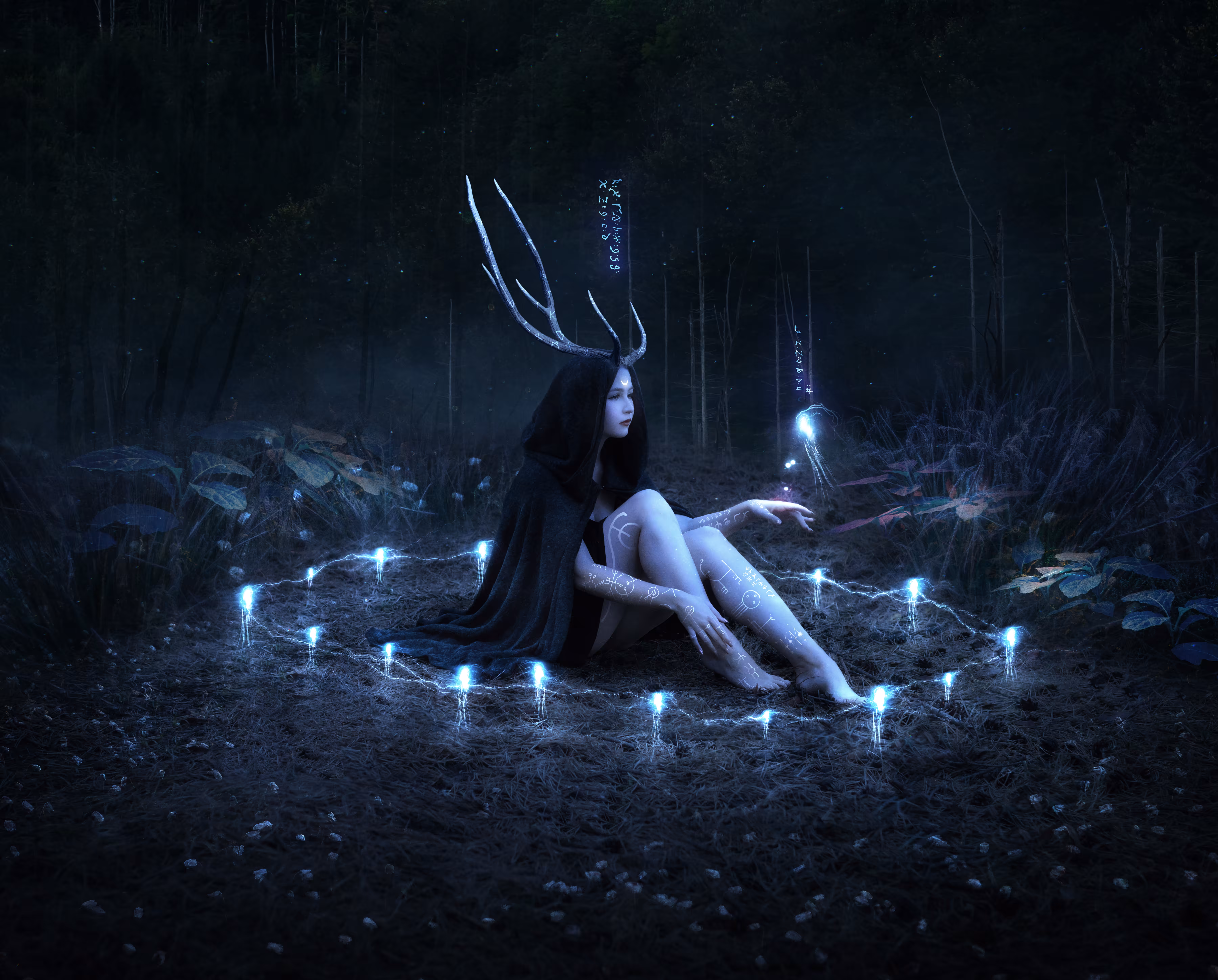 The Fairy Ring