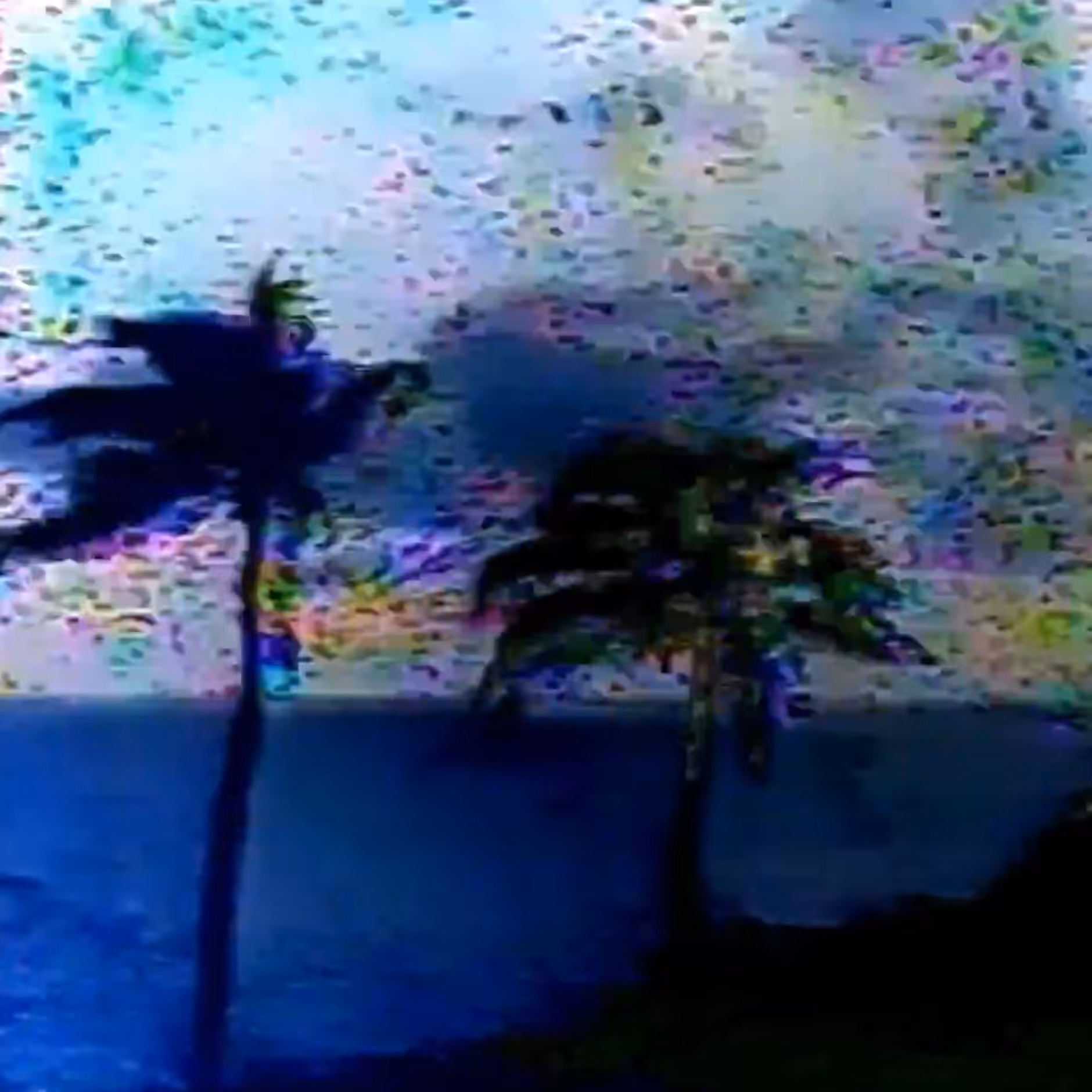 vhs dream 0055