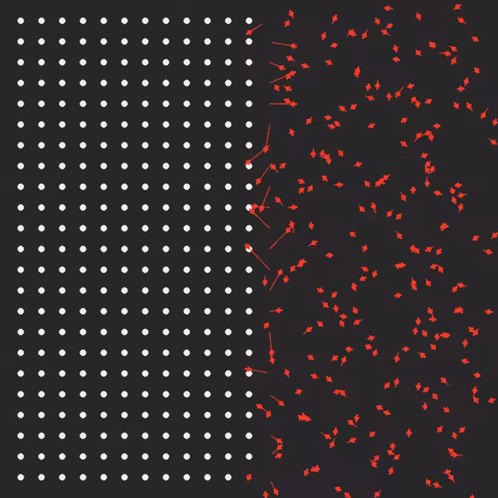 DoodleDeProgramming_20250829