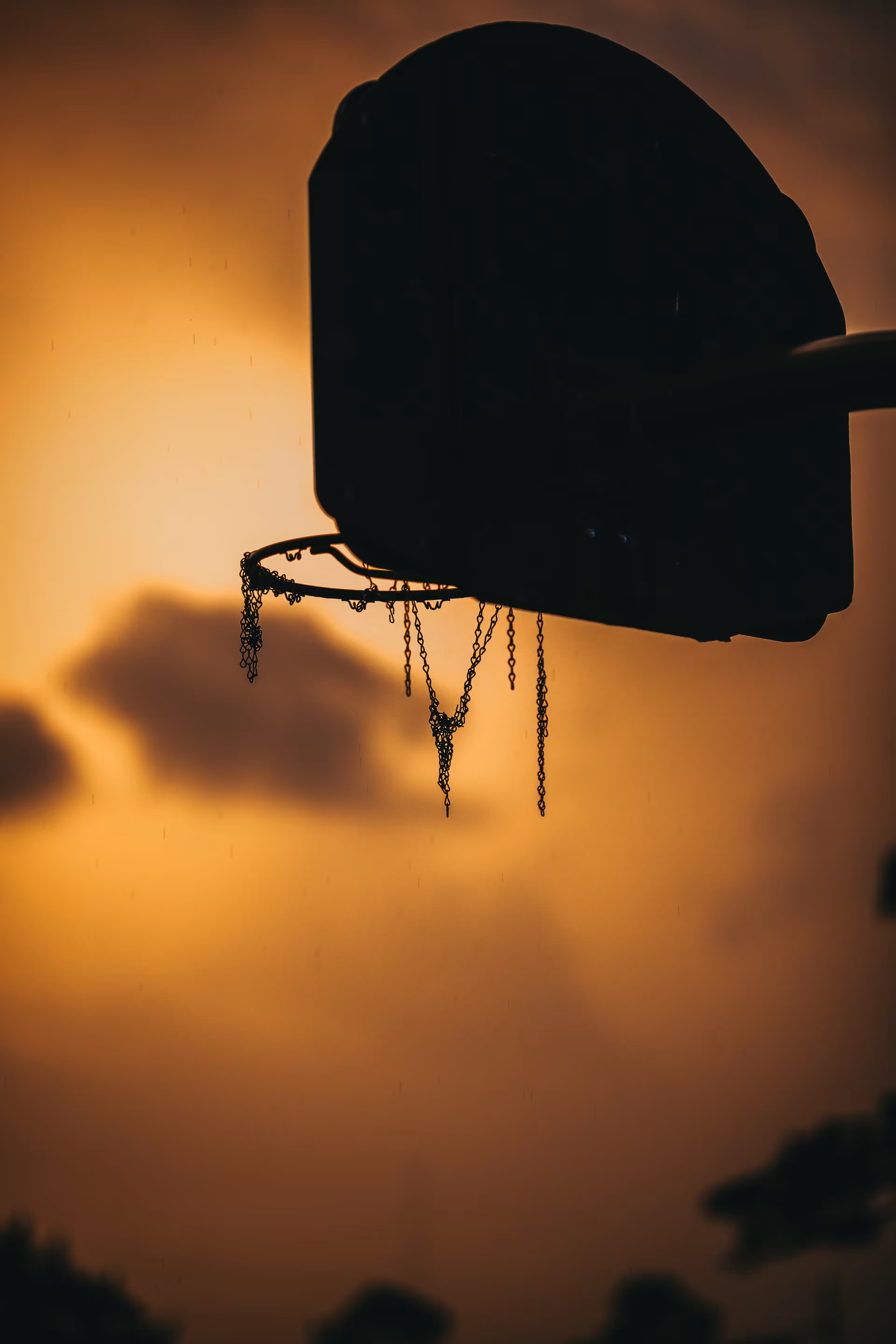 A Hoop Dream