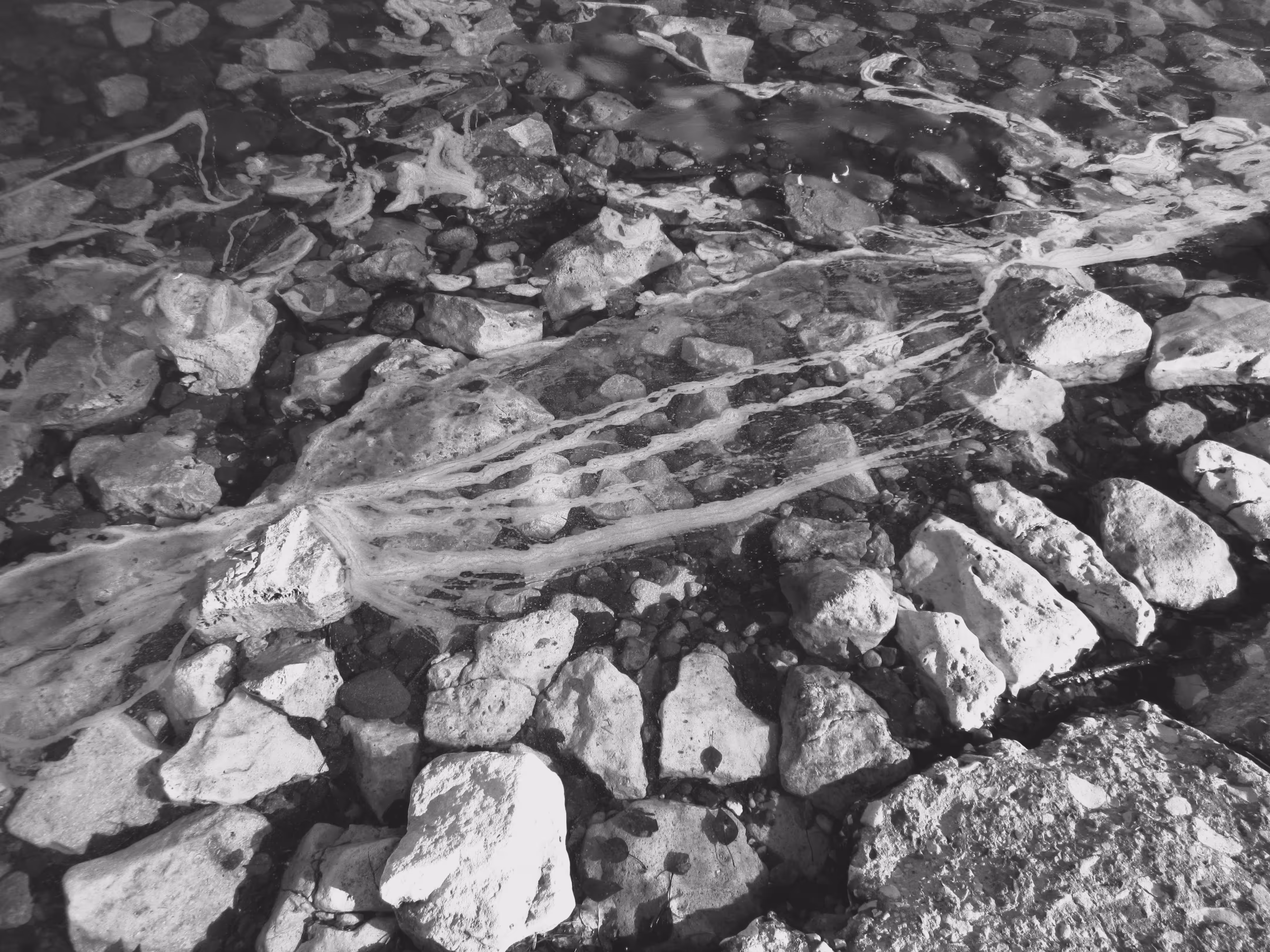 Photos: Rocks in the water