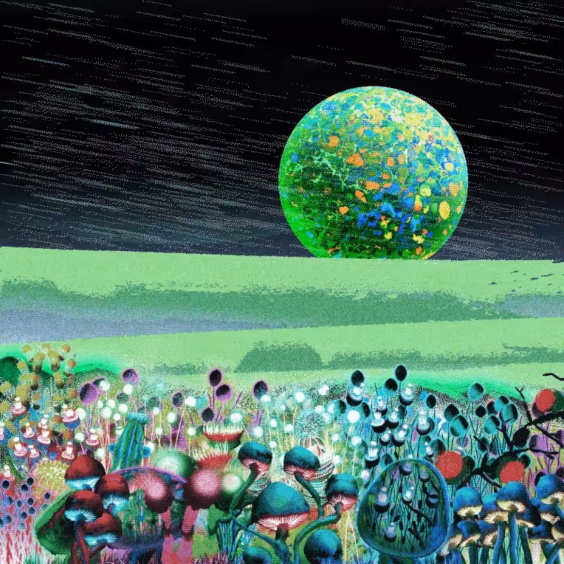 Onablo's Meadow #98