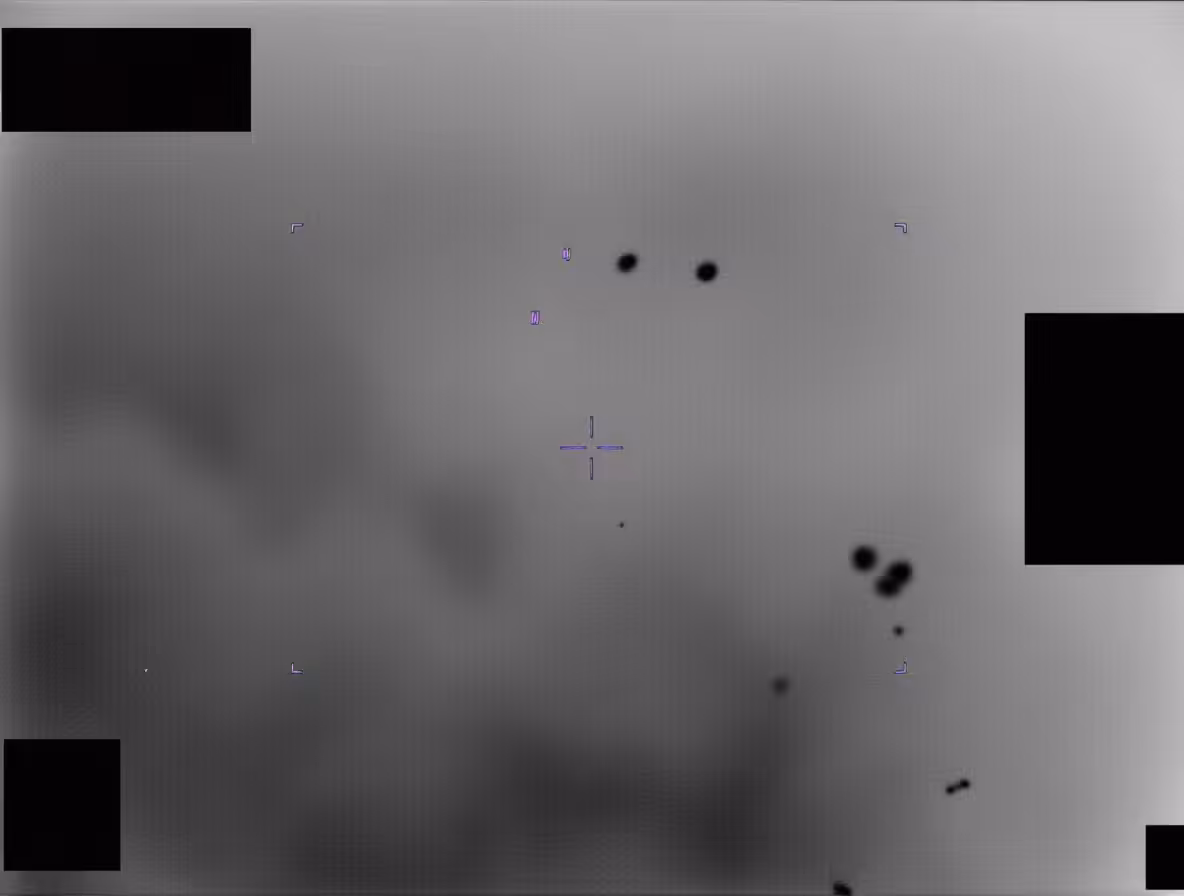UAP_0098
