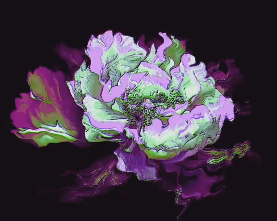Live flowers 