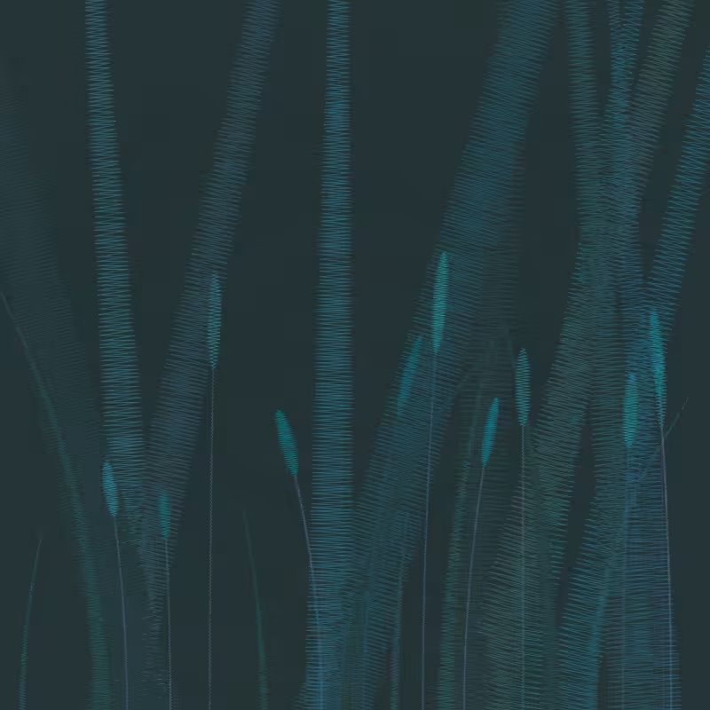 ZigZag Garden #105