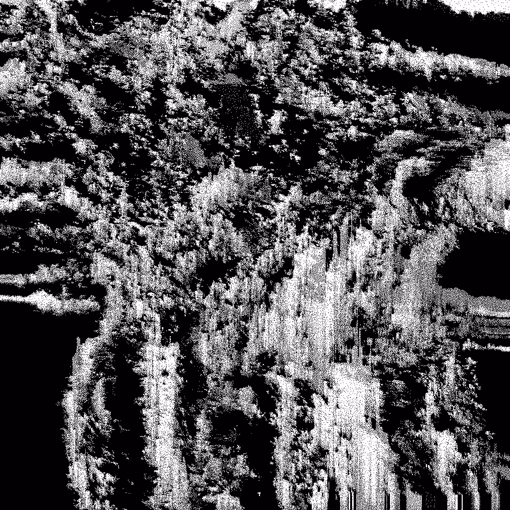 Noise #300 