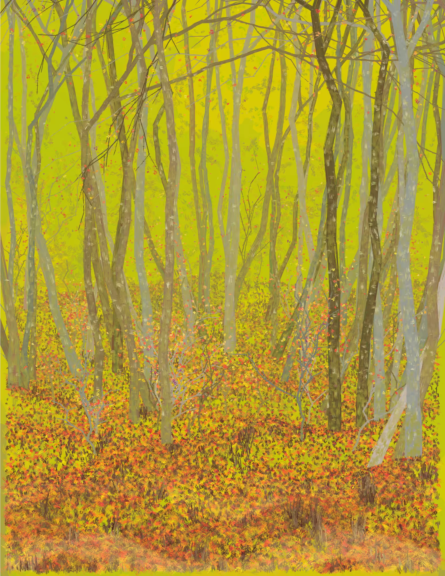 Deep Forest #271