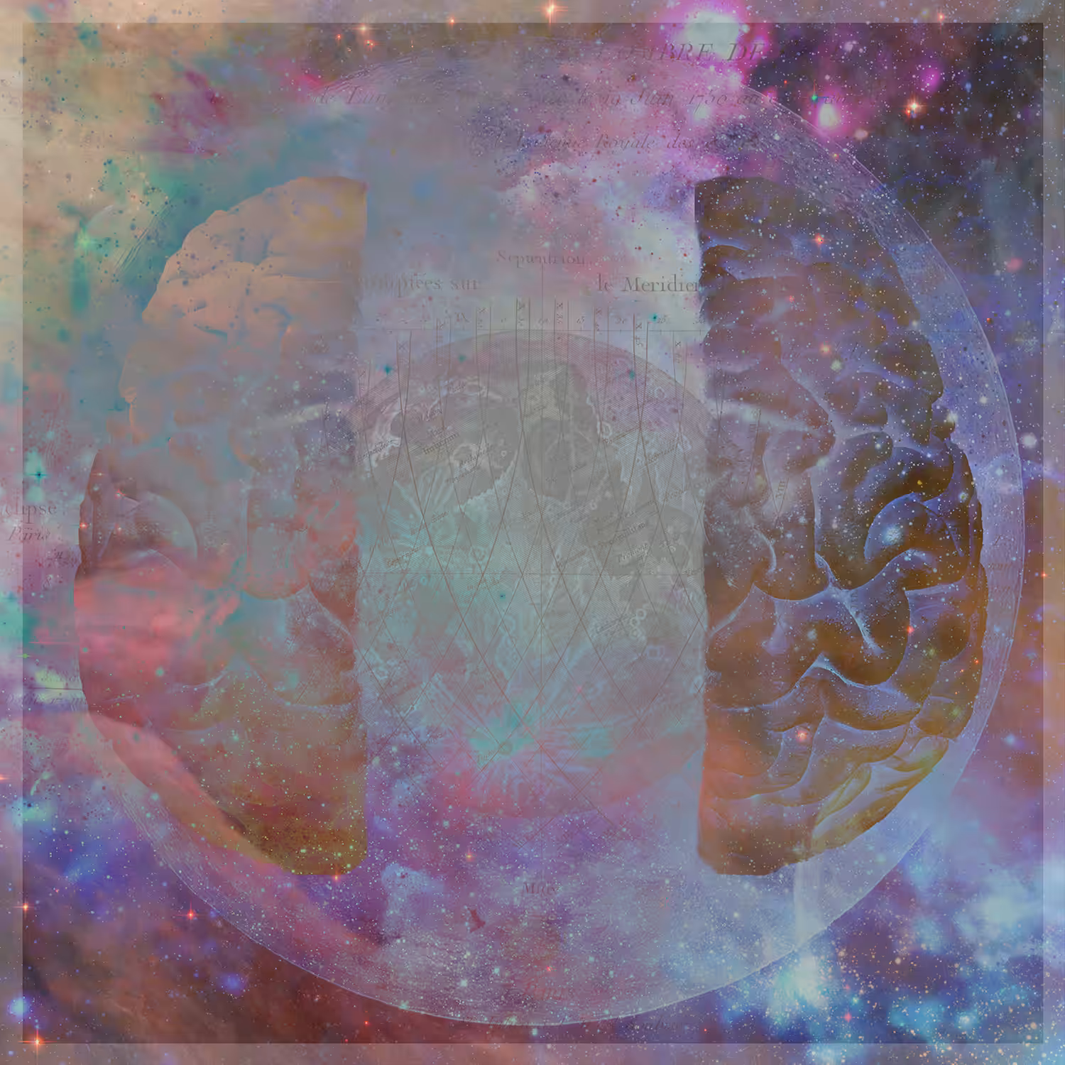 Cerebral Bisection