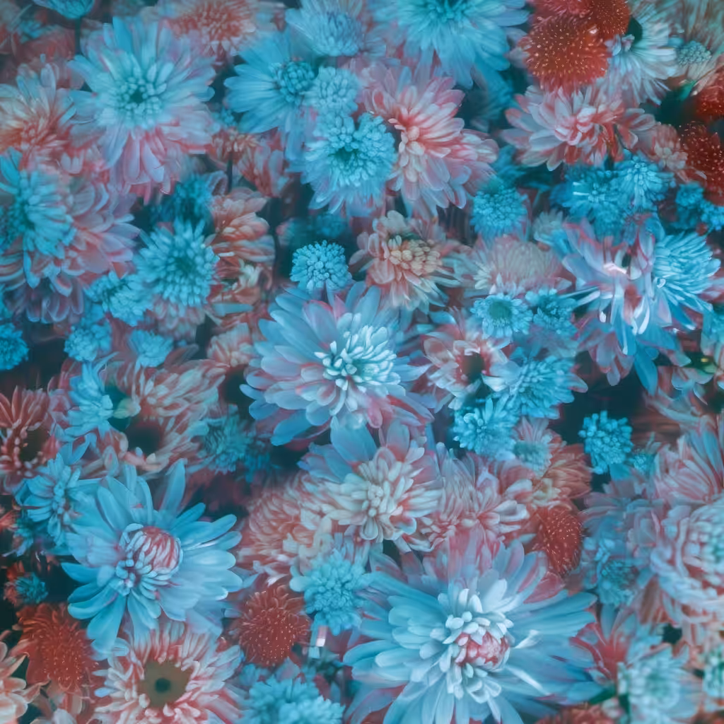 Bloom #9