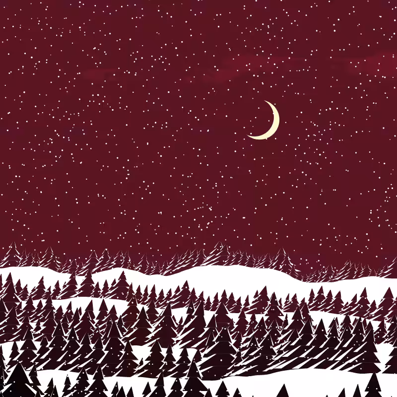 Winterland #209