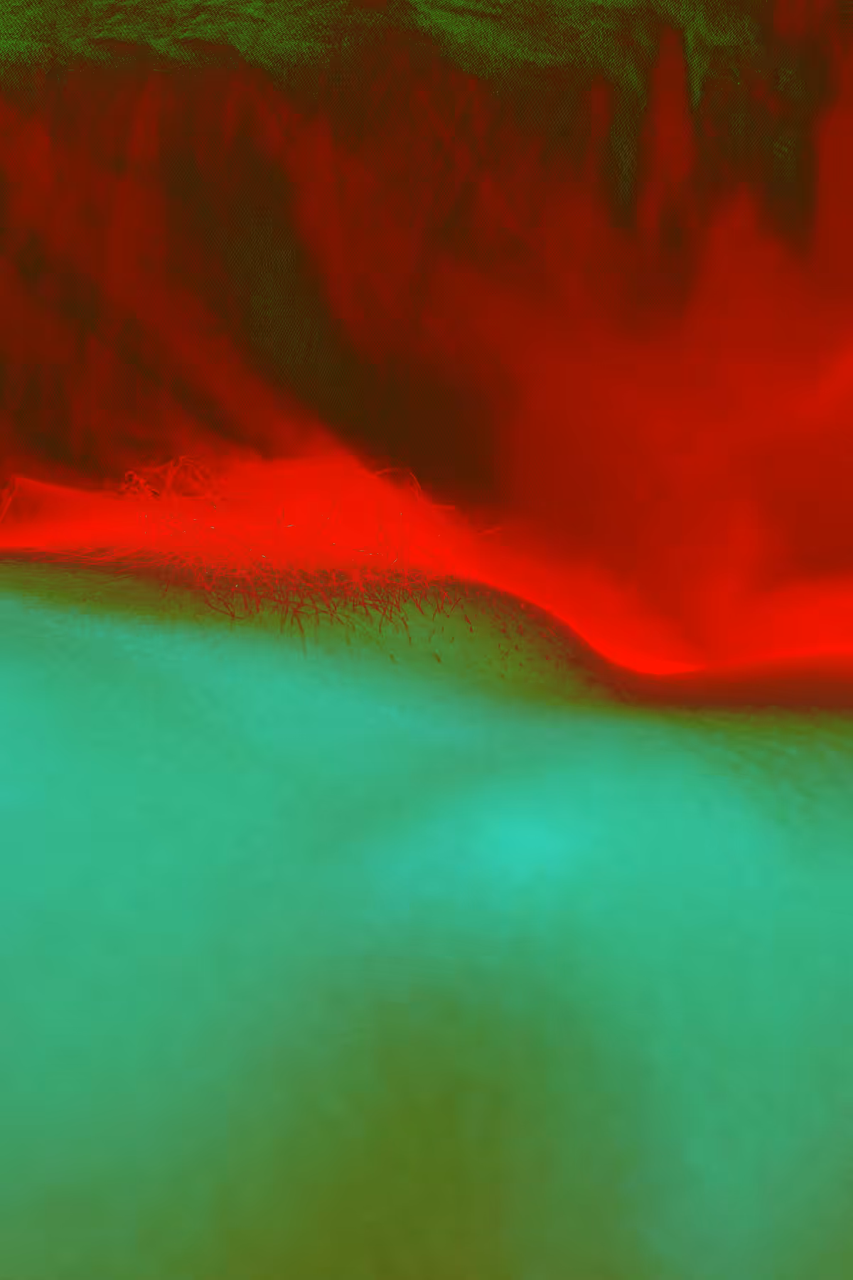 Red Venus #3