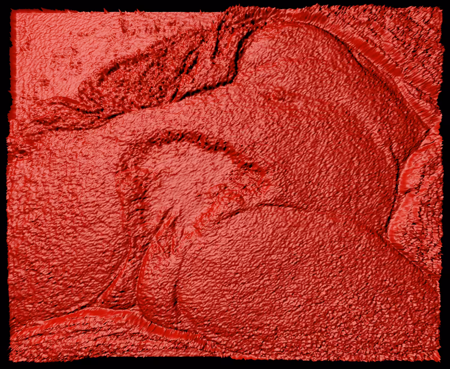 Red Origin