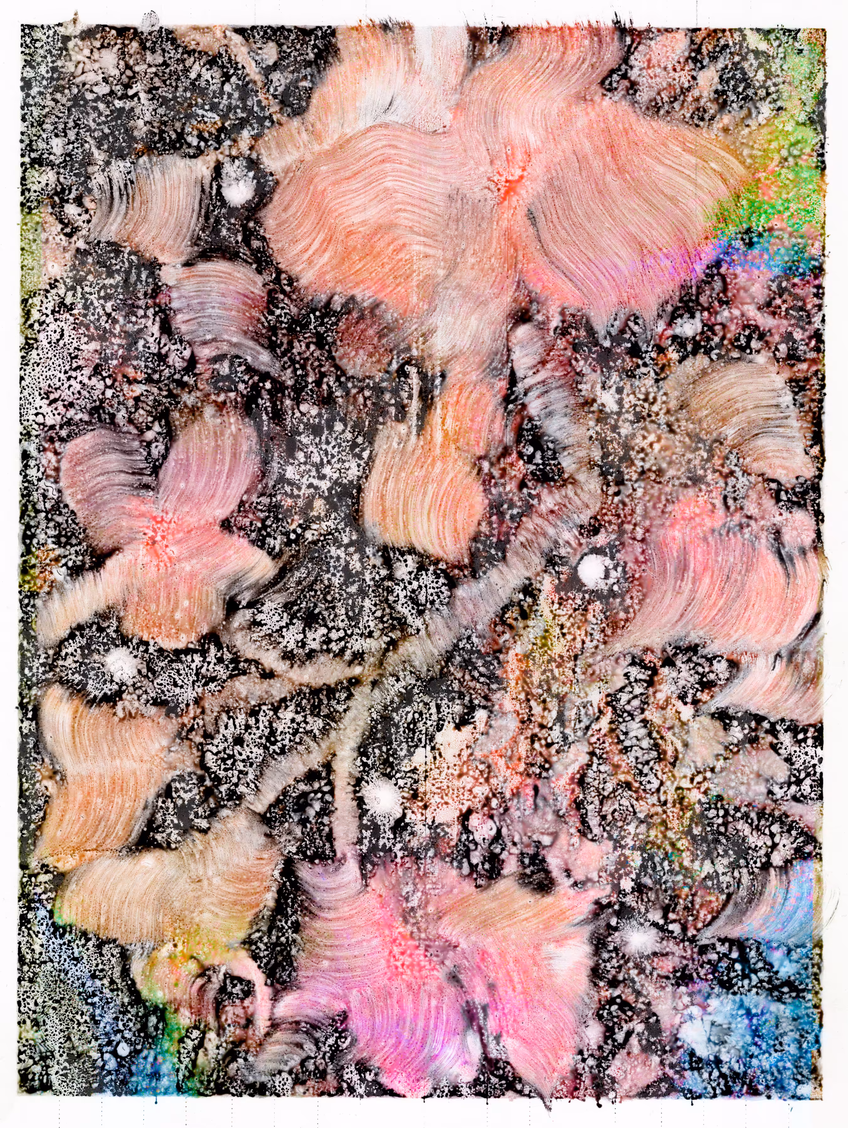 Flower, still life