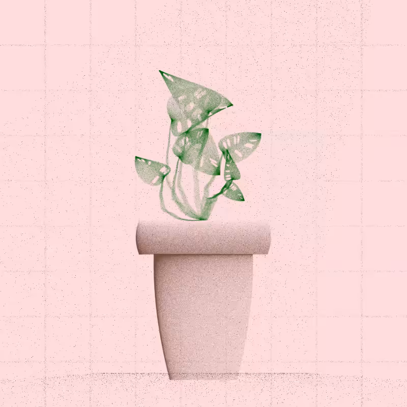 🌱 Potted & Printed #440