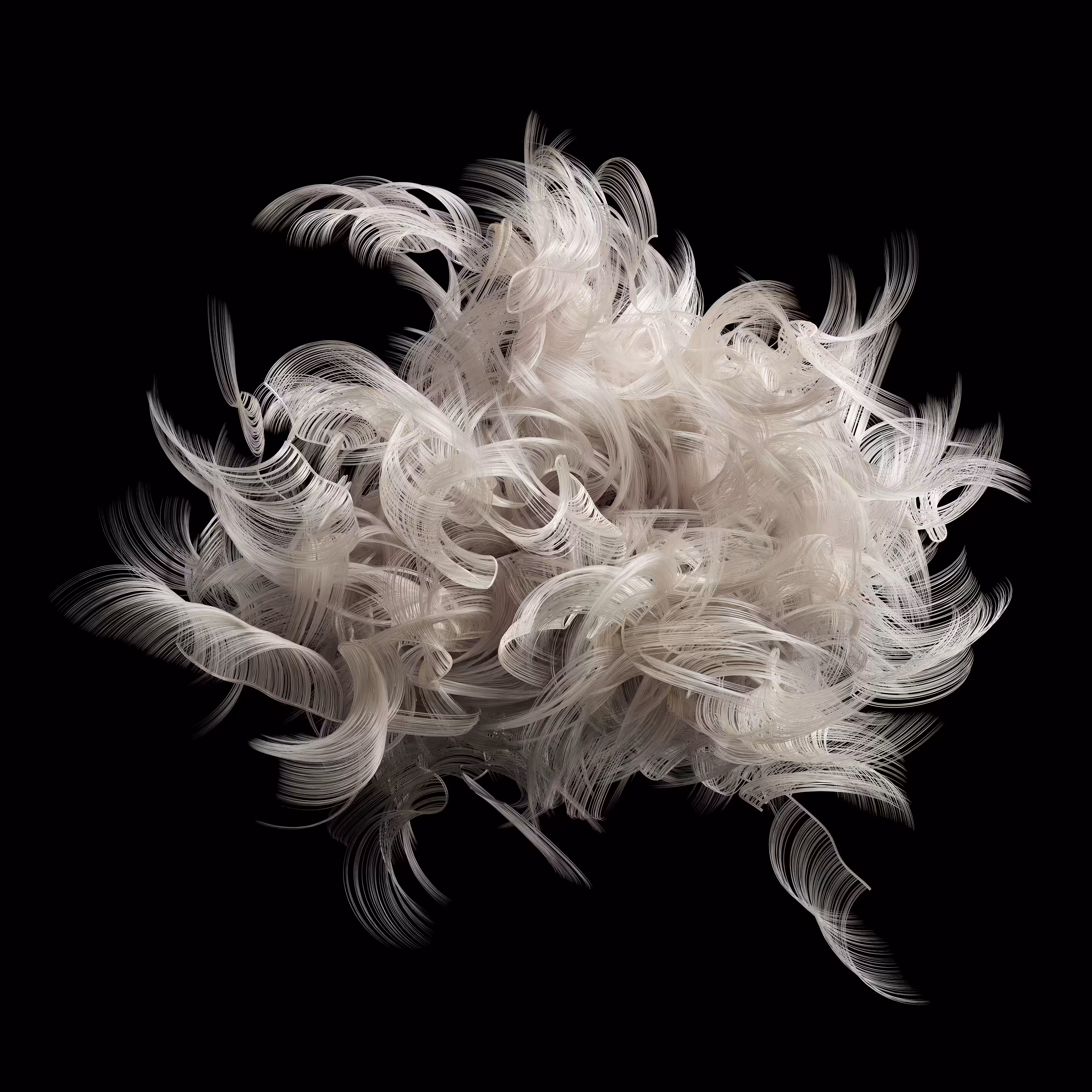 Feathered Curl #2