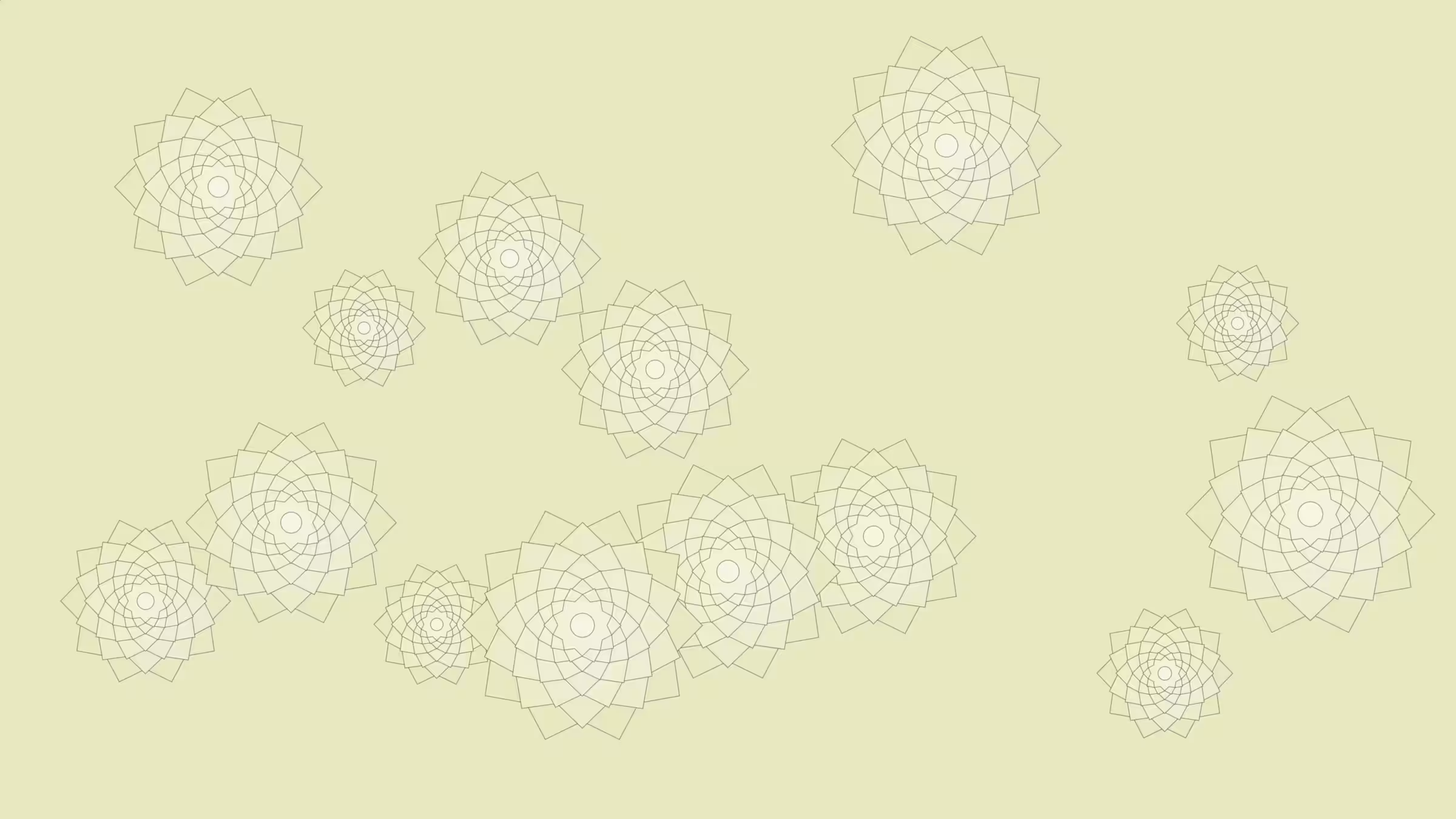 Schema #80
