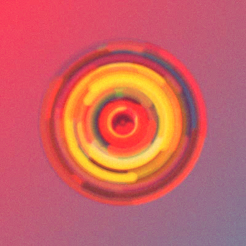 Wisp #585