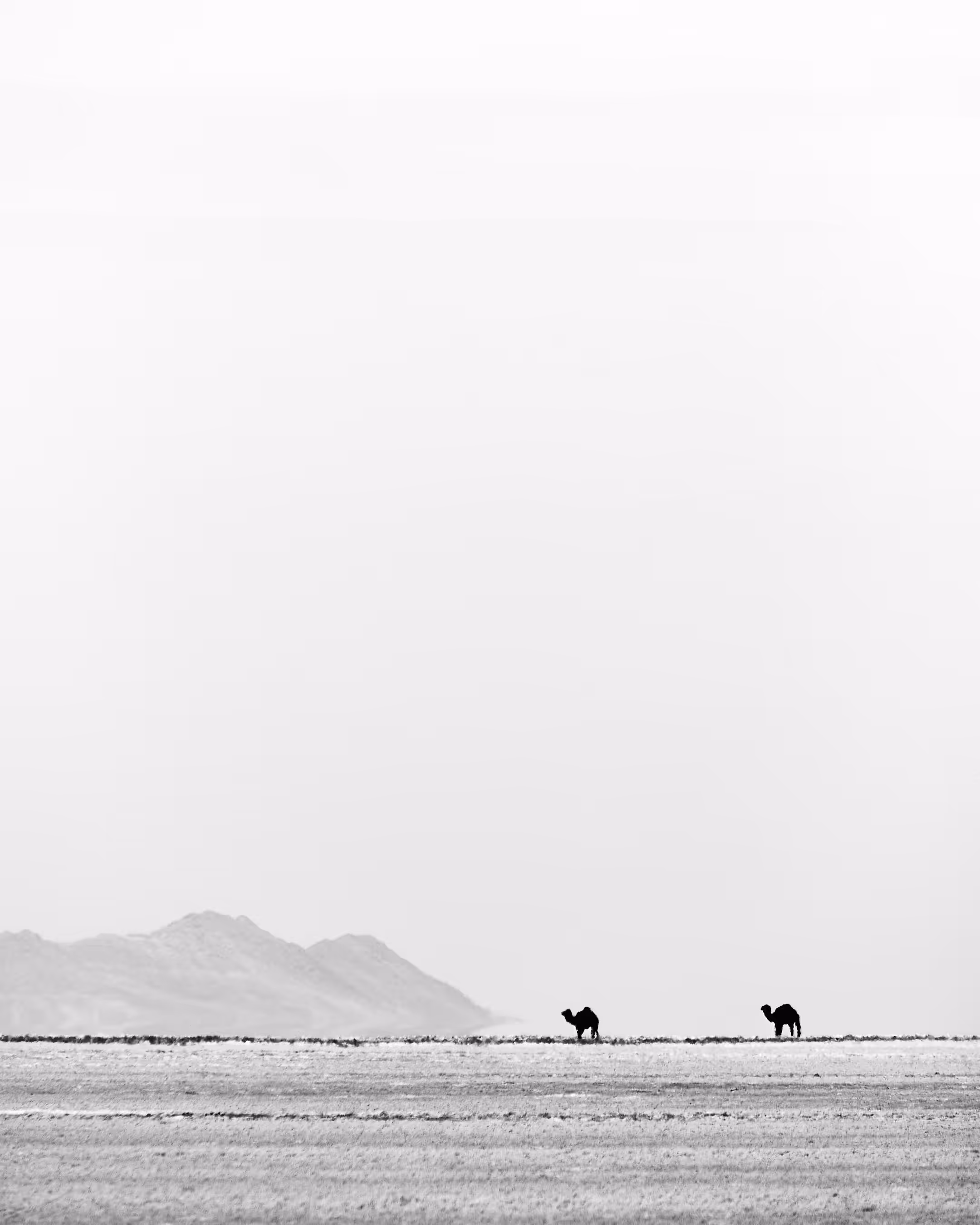 Dune