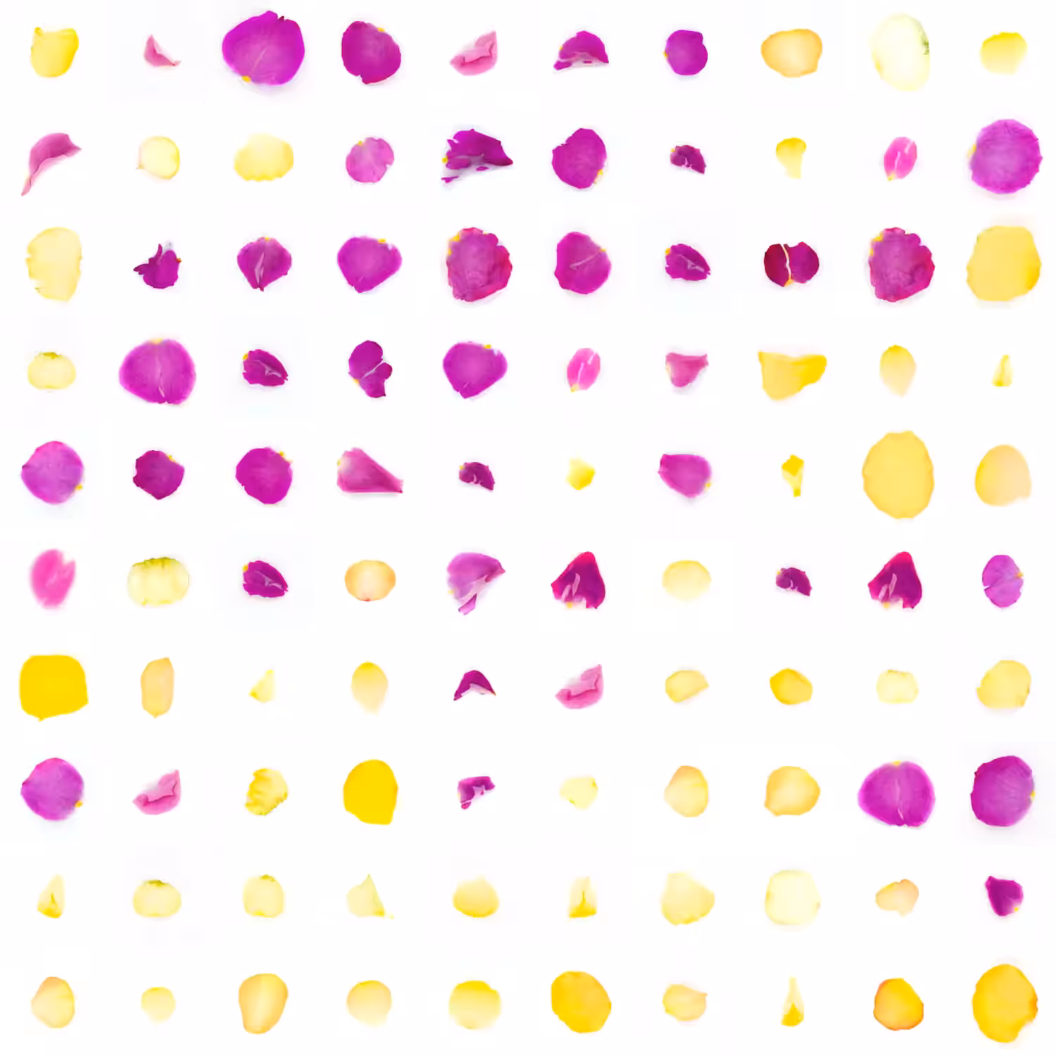 Infinite Petals 10x10#895