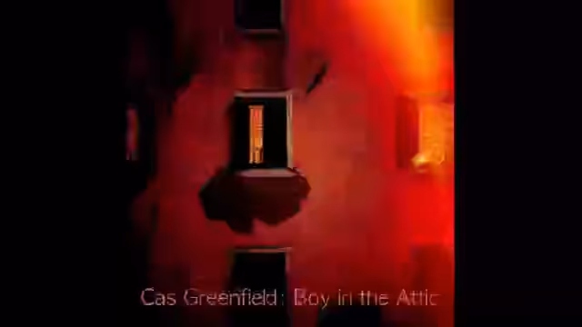 'Boy in the Attic' Unreleased Album + Video, Outtakes & Rare Promo Materials