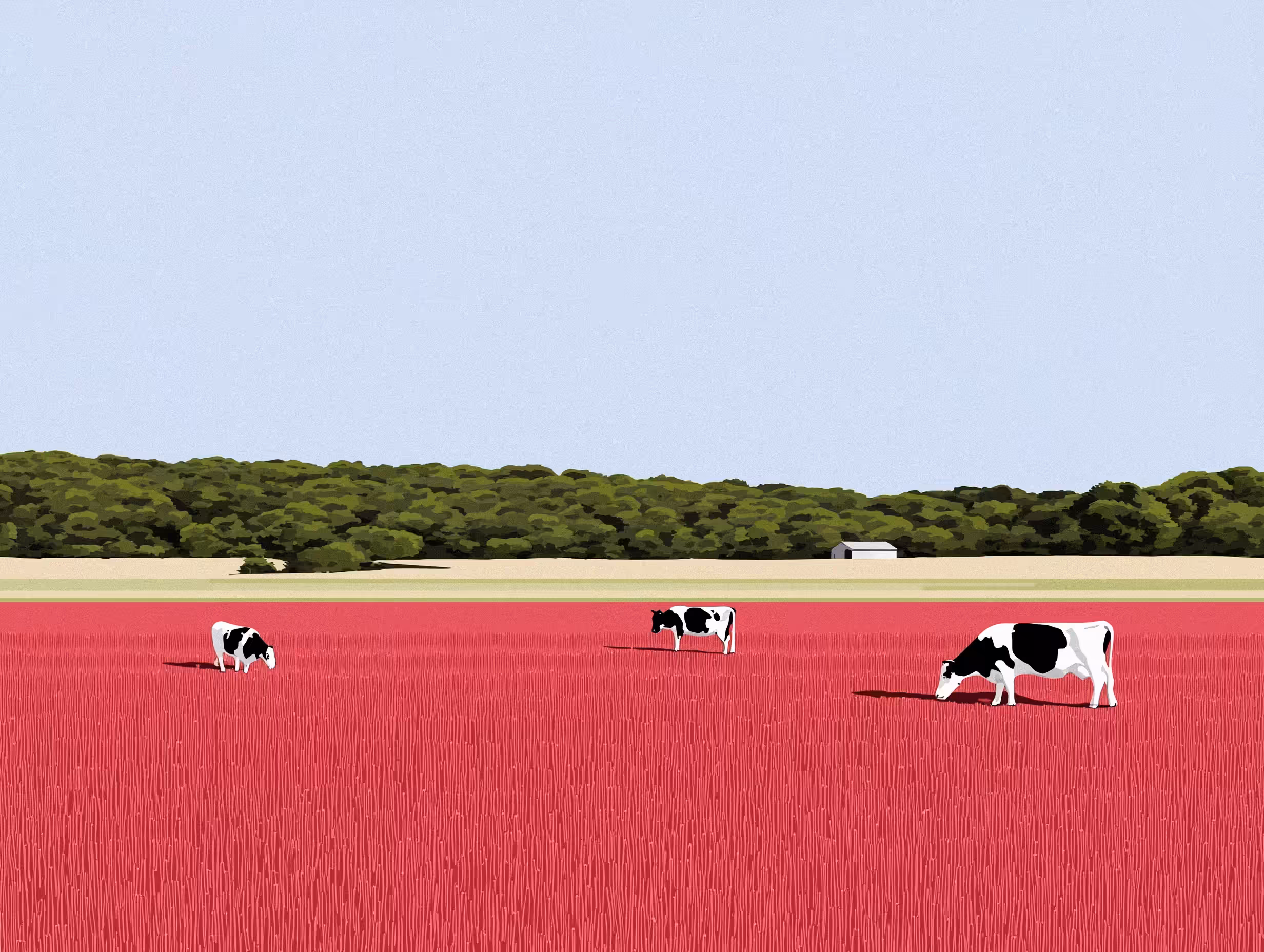 Red Pasture