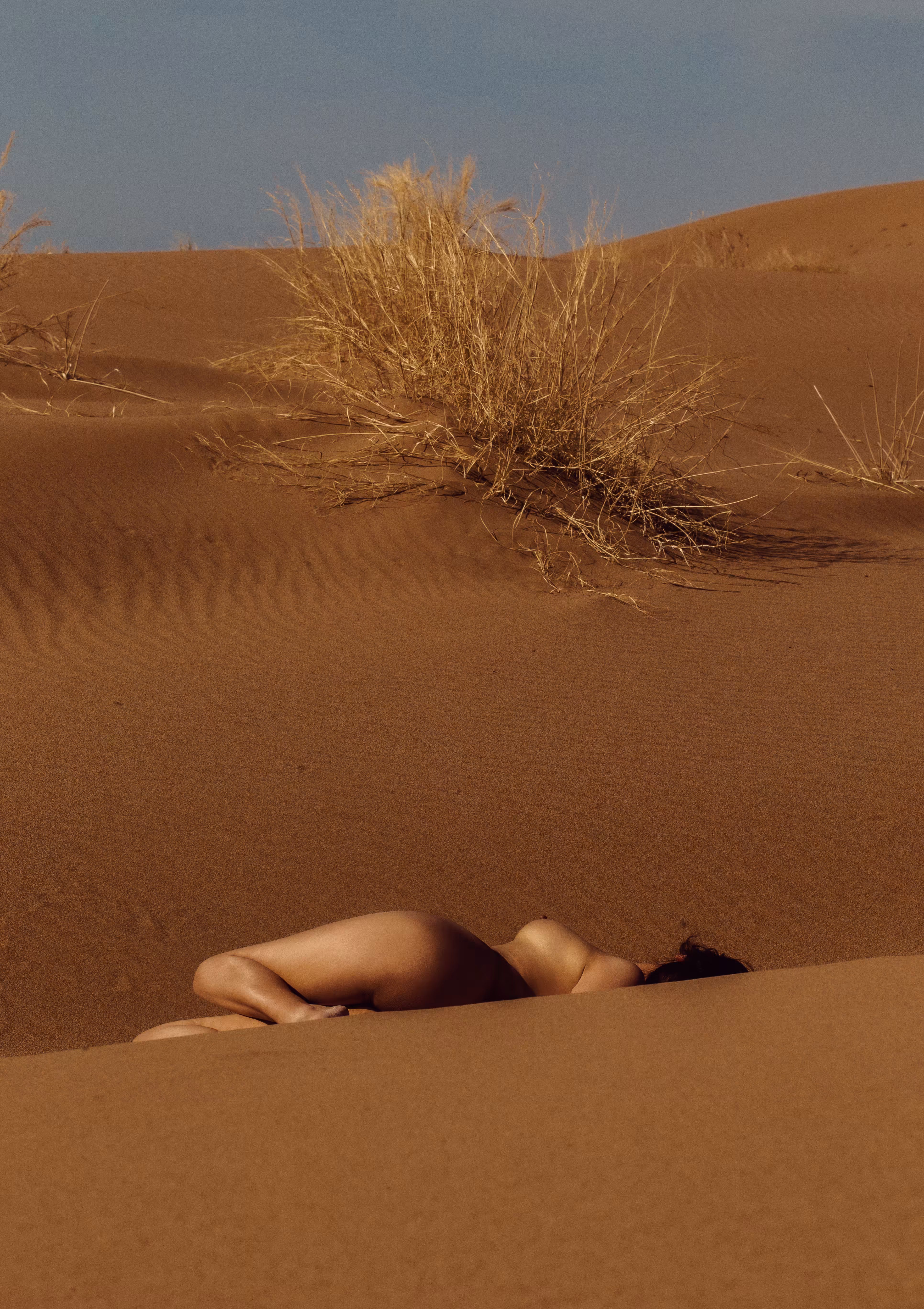 Elyndara : Bitter lesson