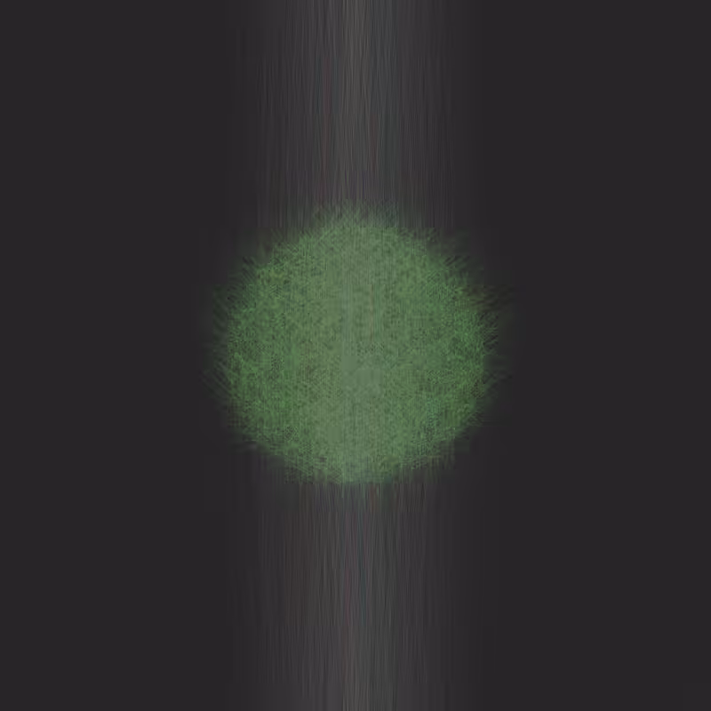 SpotLight #3