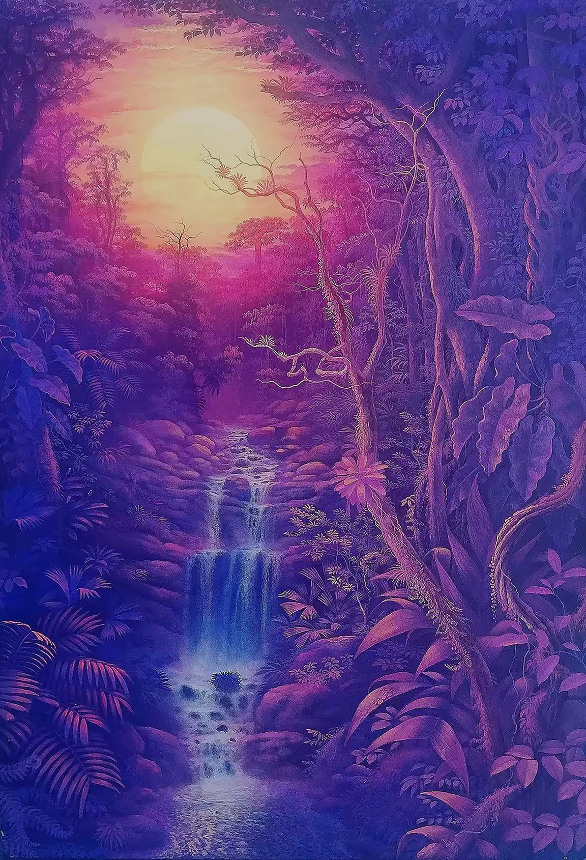 SELVA ROSA