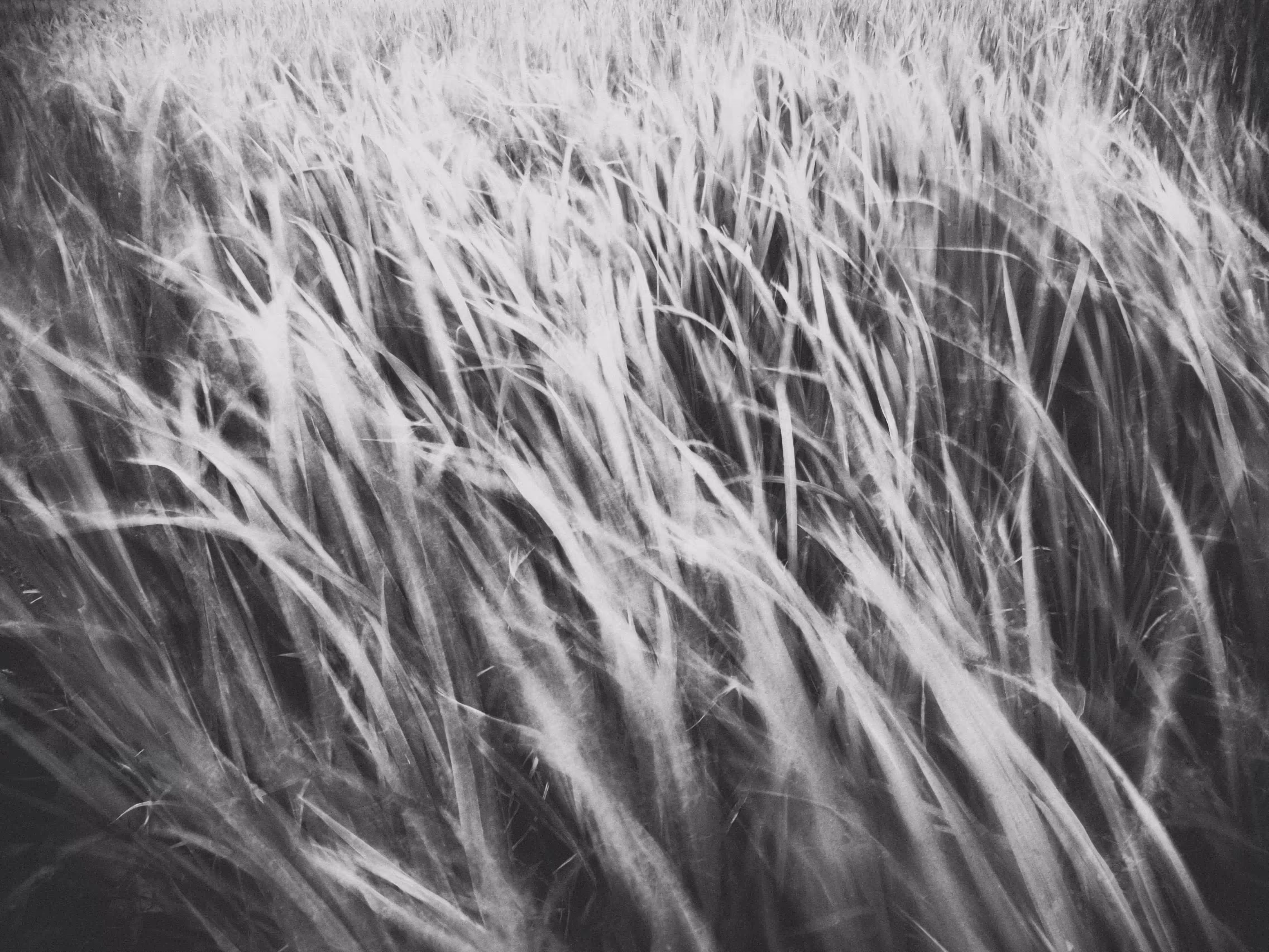 Wind between air