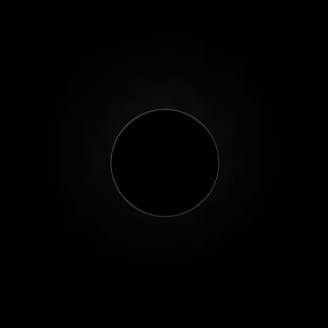 In The Dark