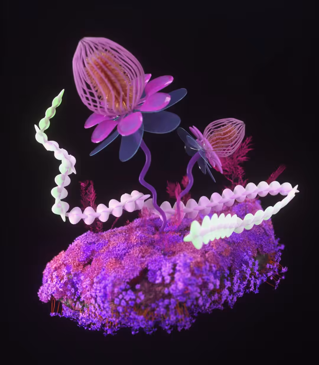 ALACEA