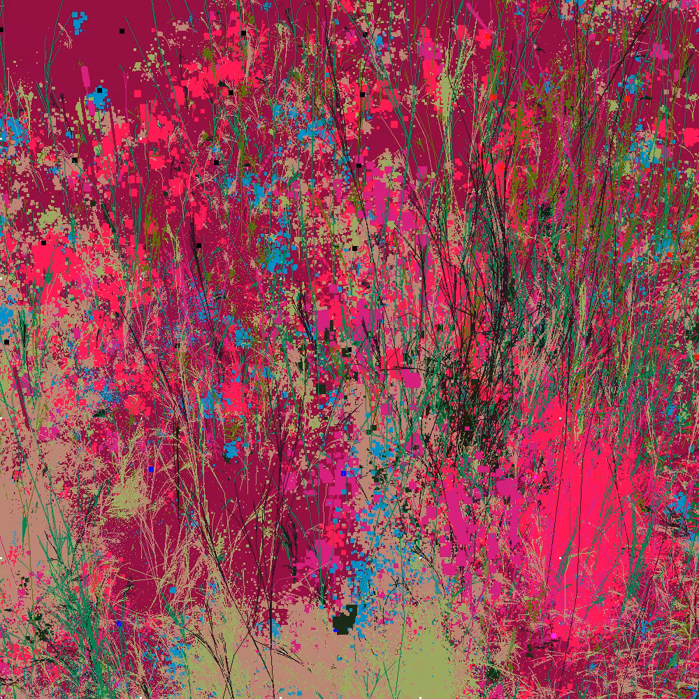 Infinite Garden: 38021 Flowers