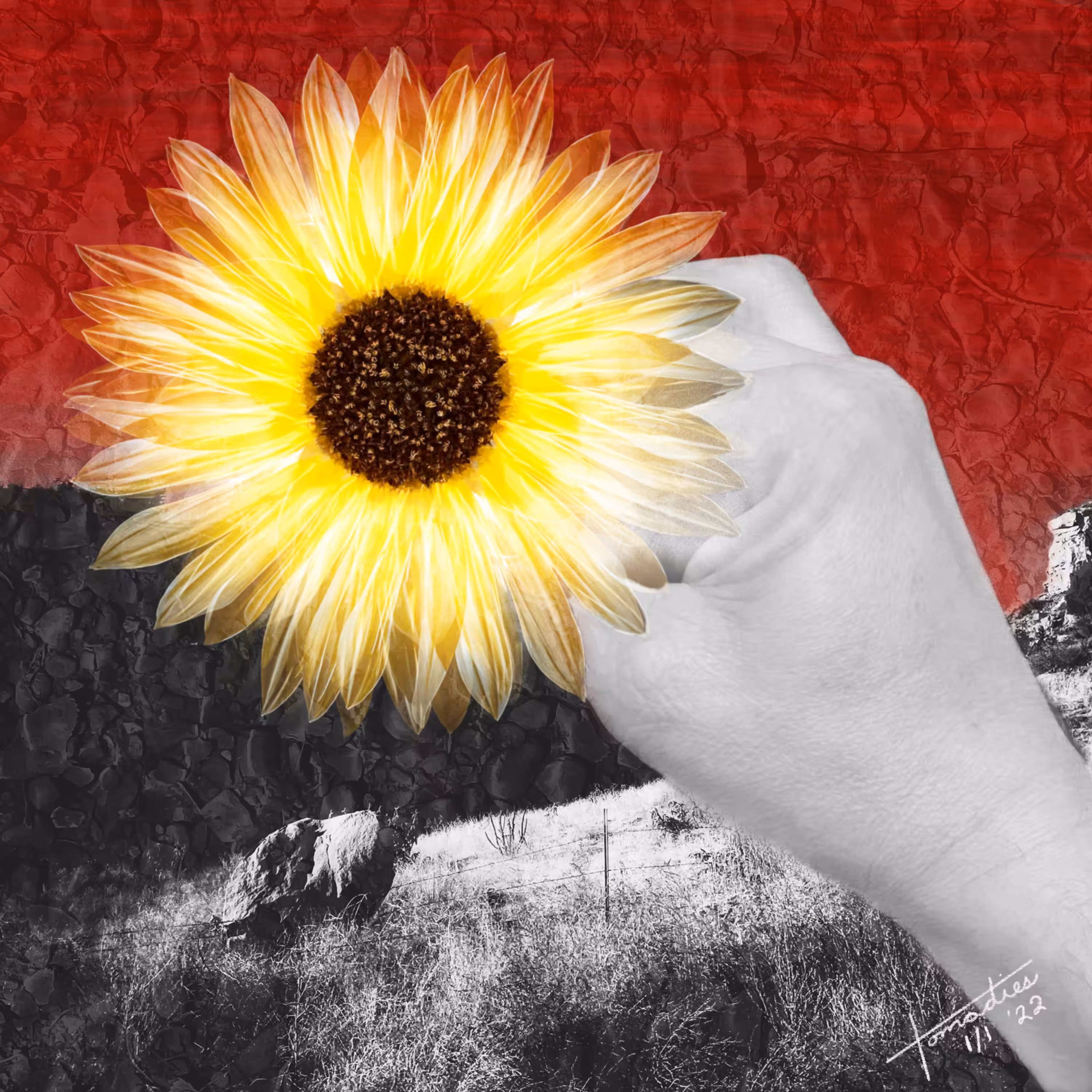 Sunflower Offering