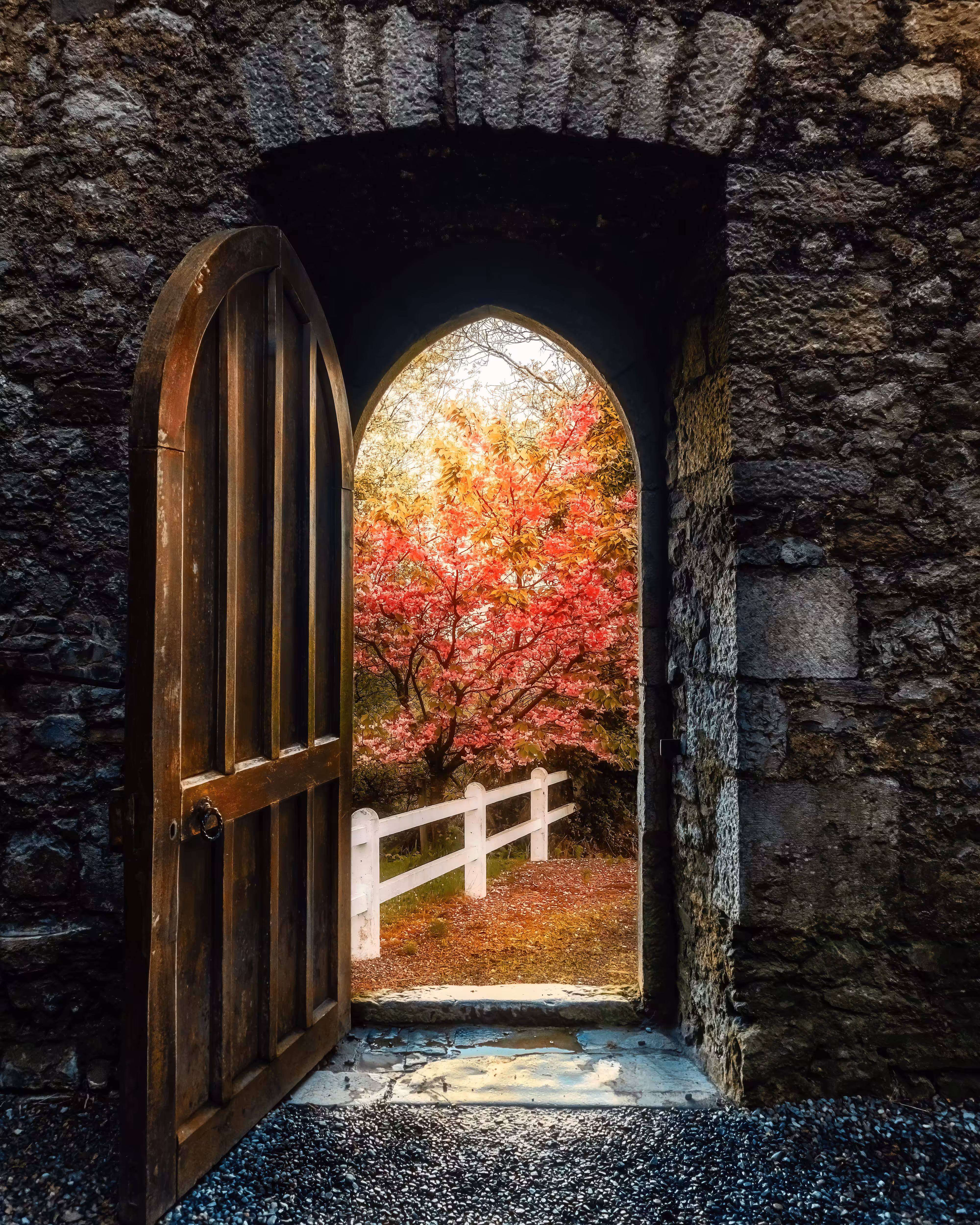 Into Irish Spring