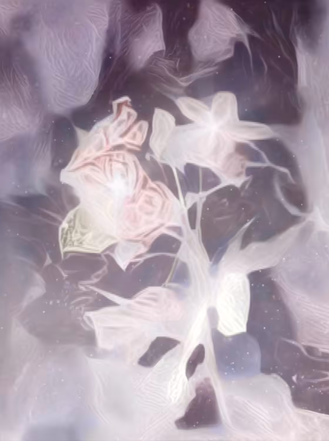 sad roses